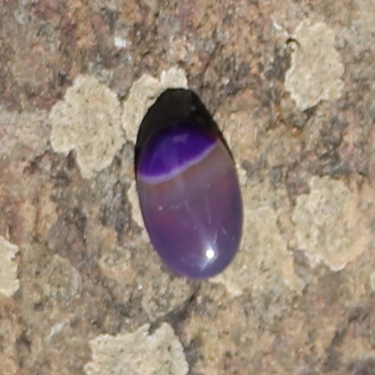 Agate Purple